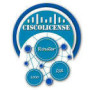 CISCO IPSEC HSEC License for ISR 1100 8P Series