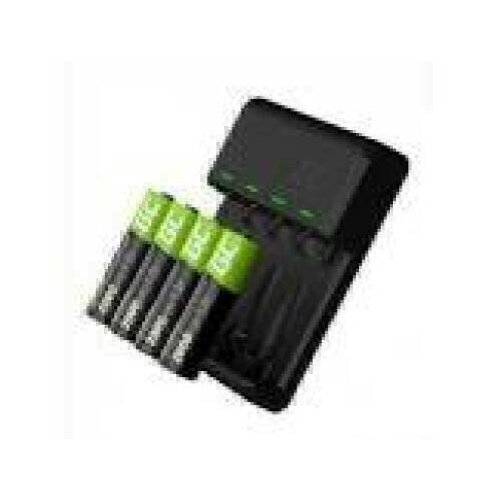 GREENCELL Charger VitalCharger + 4x AA 2000mAh Ni-MH