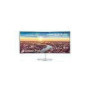 SAMSUNG C34J791 34inch 21:9 Wide Curved 1500R 3440x1440 Qdot 100Hz USBC/TBT3x2/DP/HDMIUSB3.0x2 Glossy white/silver HAS VESA Speaker
