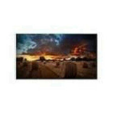 SAMSUNG 55inch 16:9 FullHD VM55B-U direct-LED IPS 500nits DP 1.2, HDMI in x2/out, DVI-D, Ethernet, 3.5mm bezel to bezel VESA 600x400