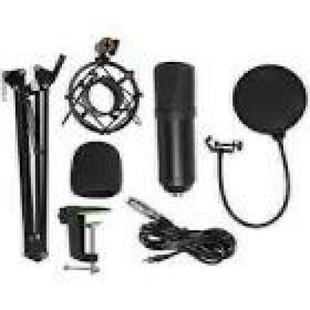 ART CONDENSER MICROPHONE ON A BOOM WITH MEMBRANE AC-03 USB