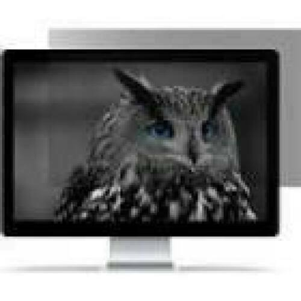 NATEC NFP-1475 Privacy Filter RODO OWL 15.6inch 16:9