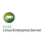 HPE SLES SAP 1-2Skt Unl VM w/LP 3y24x7 E-LTU