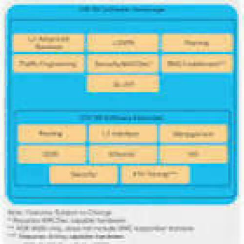 CISCO SWSS B NO UPG Access Network Essentials SW Right-to-Useper 10G
