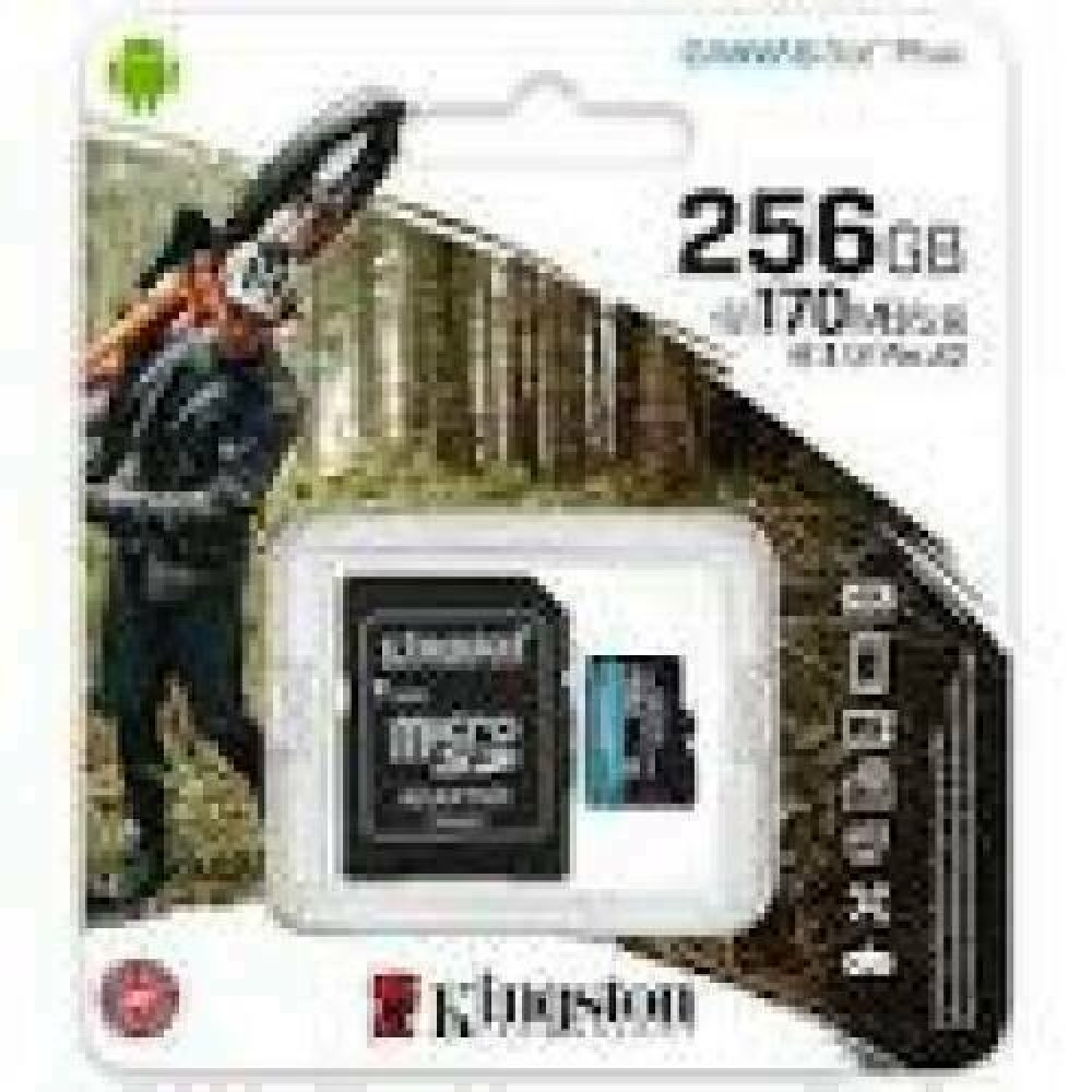 KINGSTON 256GB microSDXC Canvas Go Plus 170R A2 U3 V30 Card + ADP
