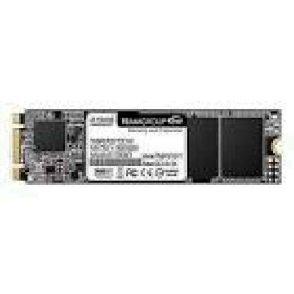TEAMGROUP SSD MS30 1TB M.2 SATA 550/500 MB/s