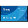 IIYAMA TN6505A-B1AG 65inch IFP OS-free 40-Points DeepContrast IR+ with Zero Gap - Air bonding Anti-glare and Bacteria coating