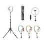TRACER RING 30cm tripod 210cm ring lamp TRACER RING 30cm tripod 210cm ring lamp
