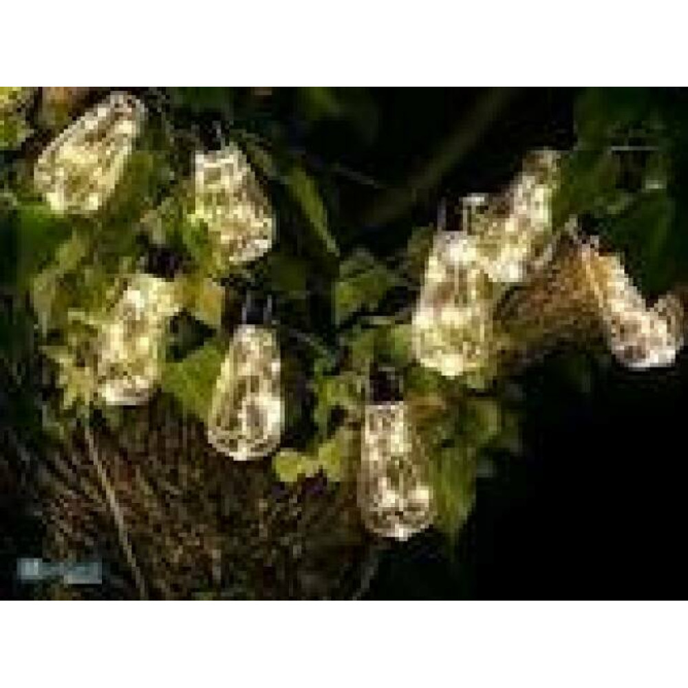 TRACER 100 LED 10 bulbs solar garden garland