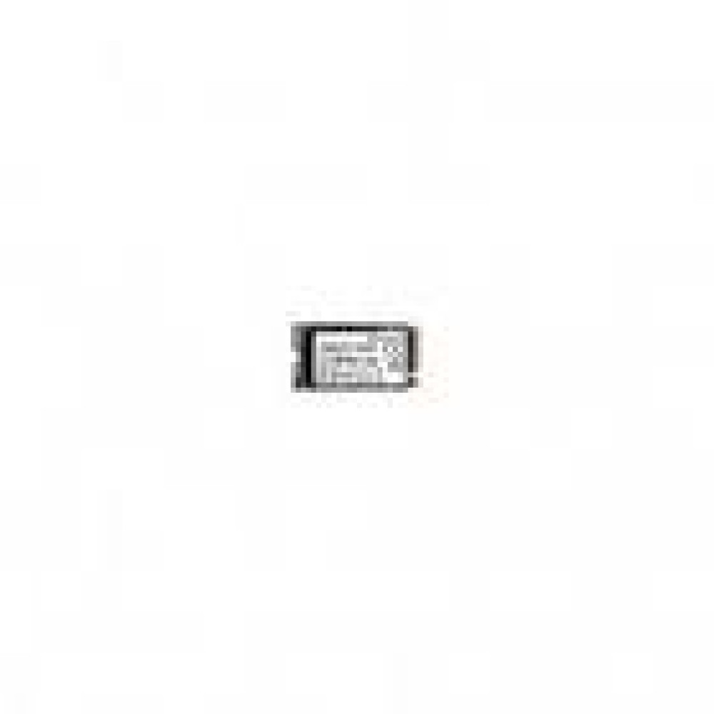 TRANSCEND 256GB M.2 2242 PCIe Gen4x4 NVMe 3D TLC DRAM-less