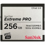 SDCFSP-256G-G46D