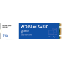 WDS100T3B0B-00AXS0