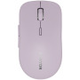 CNS-CMSW12P