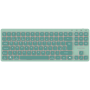 CNS-HKB10GR