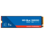 WDS100T5B0E-00CPE0