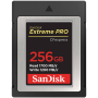 SDCFE-256G-GN4NN