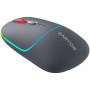 CNS-CMSW22DG