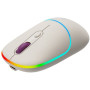 CNS-CMSW22RC