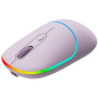 CNS-CMSW22PR