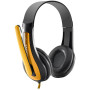 CNS-CHSC1BY