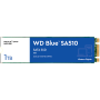 WDS100T3B0B-00AXS0