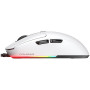 CGR-WLMW-MINEO