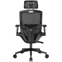 CGR-SPO-BLB