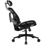 CGR-SPO-BLB