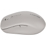 CNS-CMSW12DG