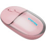 CNS-CMSW24P