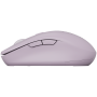 CNS-CMSW12P