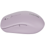 CNS-CMSW12P