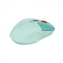 CNS-CMSW26GR