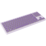 CNS-HKB10V