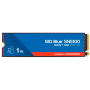 WDS100T5B0E-00CPE0
