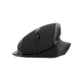 CNE-CMSW17B