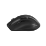 CNE-CMSW17B