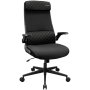 CGR-STD-BLB