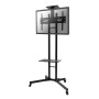 TV SET ACC FLOOR STAND BLACK/32-55 PLASMA-M1700E NEOMOUNTS