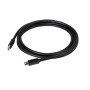 CABLE MINI DP TO MINI DP 2M/M/M CAC-1164 CLUB3D