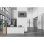 TV SET ACC WALL MOUNT/WL35-750BL14 NEOMOUNTS