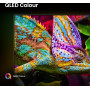 TV Set, HISENSE, 65 , 4K Ultra HD, 3840 x 2160 pixels, Flat, 16:9, QLED Pro, 65E7QPRO