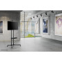TV SET ACC FLOOR STAND BLACK/32-55 PLASMA-M1700E NEOMOUNTS
