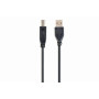 CABLE USB2 AM-BM 4.5M/CCP-USB2-AMBM-15 GEMBIRD