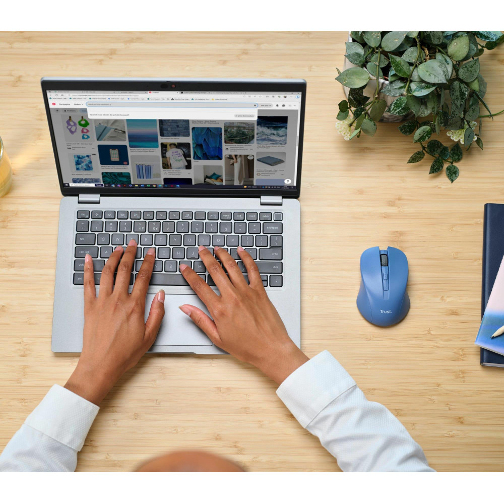 MOUSE USB OPTICAL WRL BLUE/MYDO 25041 TRUST MOUSE USB OPTICAL WRL BLUE/MYDO 25041 TRUST