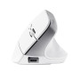 MOUSE USB OPTICAL WRL BAYO+/ERGONOMIC WHT 25399 TRUST