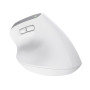 MOUSE USB OPTICAL WRL BAYO+/ERGONOMIC WHT 25399 TRUST