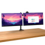 MONITOR ACC ARM DUAL/MARA 25337 TRUST