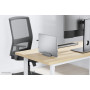 NB ACC DESK STAND 11-17/NSLS300 NEOMOUNTS