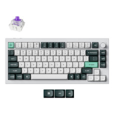 KEYBOARD WRL Q1 HE RGB/SHELL WHITE Q1H-P1 KEYCHRON